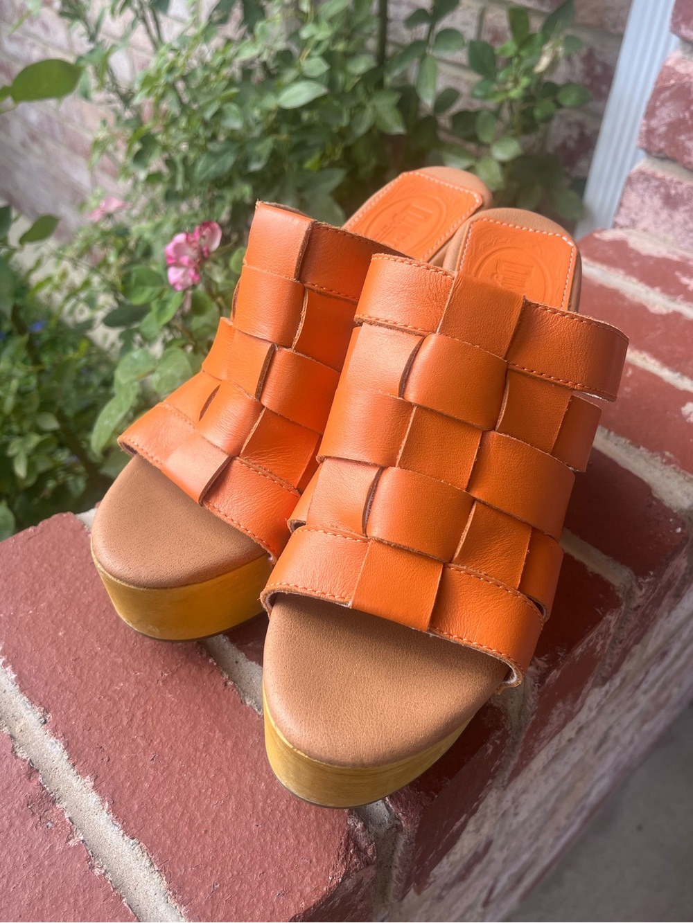 Dingo Dagwood Wedge Platform Sandals - Picture 13 of 14